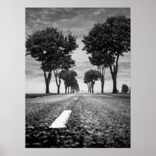 Affiche Route de campagne avec perspective bordée d'arbres