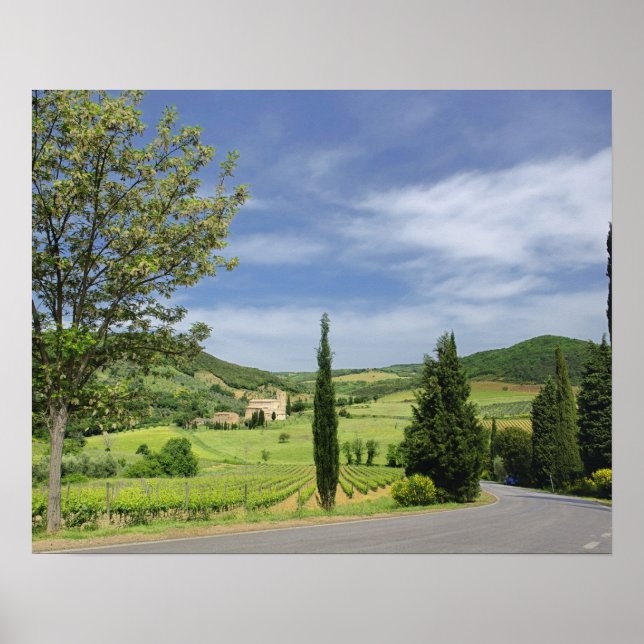 Affiche Route de campagne sinueuse entre des cyprès en (Devant)