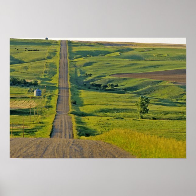 Affiche Route de gravier de Comertown dans le nord-est élo (Devant)