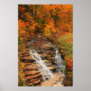 Affiche Route de Kancamagus Cascade à l'automne