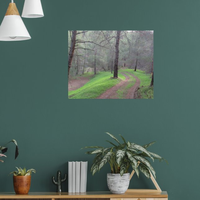 Affiche Route de la forêt de pins (Salon 1)