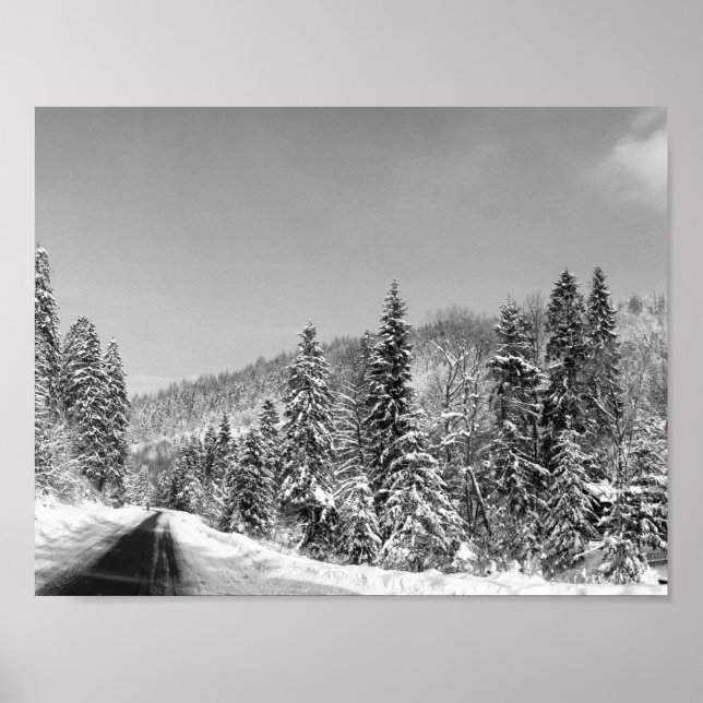 Affiche Route de la forêt d'hiver (Devant)