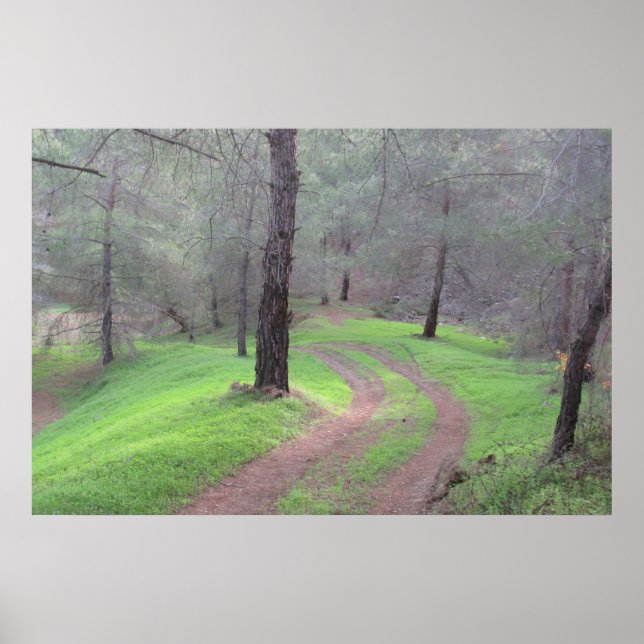 Affiche Route de la Pine Forest (Devant)