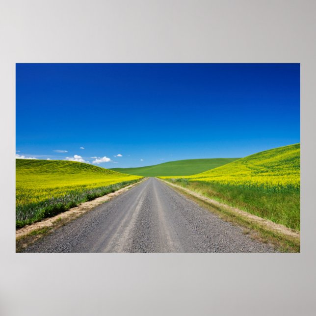 Affiche Route de l'arrière-pays à travers les champs de ca (Devant)
