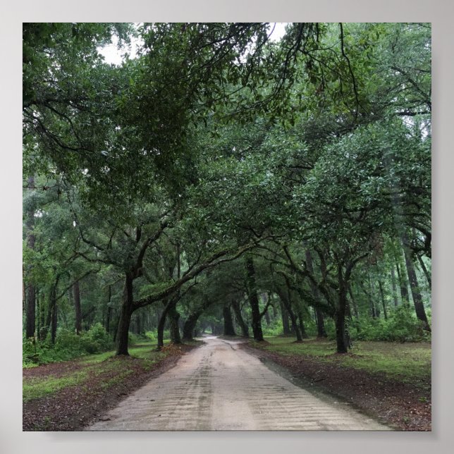 Affiche route de santee (Devant)