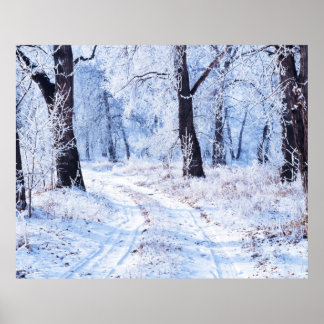 Affiche Route d'hiver