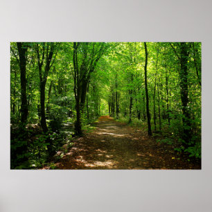 Affiche Route forestière 5