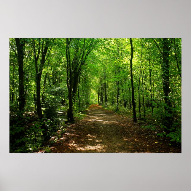 Affiche Route forestière 5 (Devant)