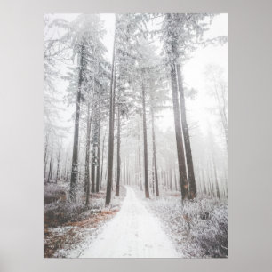 Affiche Route mystérieuse dans une forêt de brouillard gel