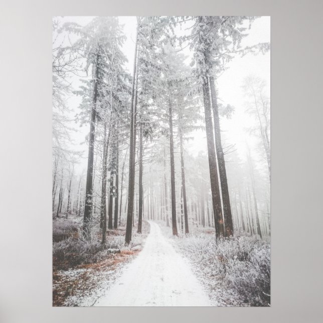 Affiche Route mystérieuse dans une forêt de brouillard gel (Devant)