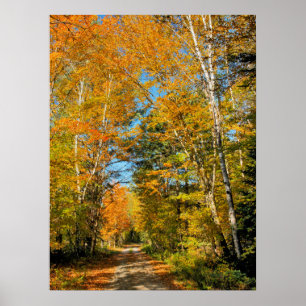Affiche Route rurale couleurs d'automne New Hampshire