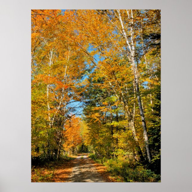Affiche Route rurale couleurs d'automne New Hampshire (Devant)