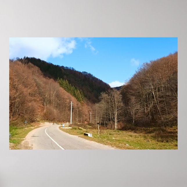 Affiche Route sinueuse à travers la forêt – Nature sauvage (Devant)