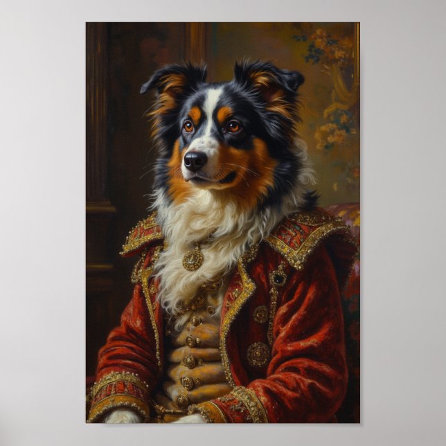 Affiche Royal Australian Shepherd Portrait (Devant)