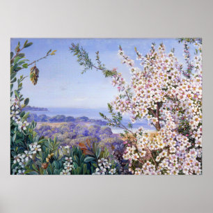 Affiche Royal Botanic par Marianne North