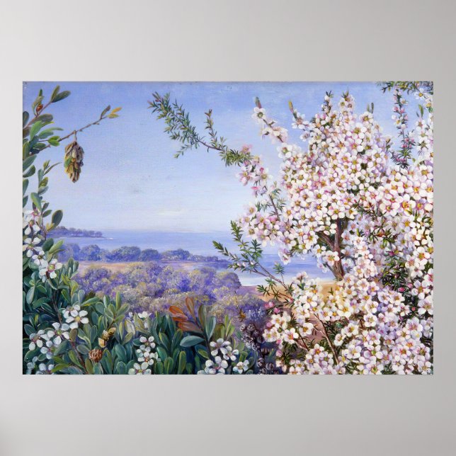 Affiche Royal Botanic par Marianne North (Devant)