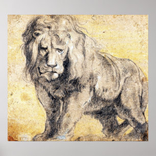 Affiche Rubens - Lion