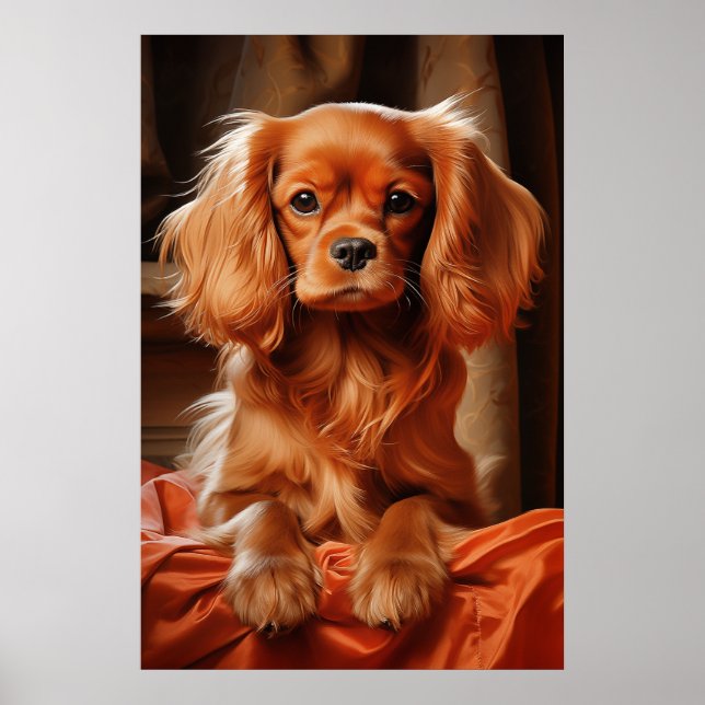 Affiche Ruby Cavalier King Charles Spaniel (Devant)