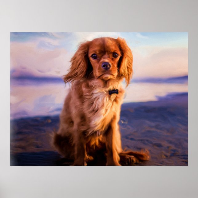 Affiche Ruby Cavalier King Charles Spaniel Chien Chien Chi (Devant)