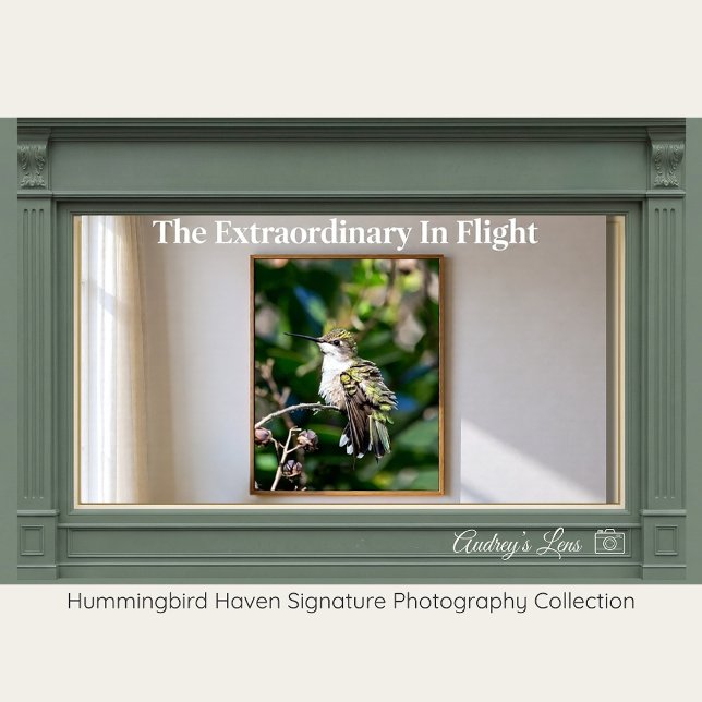 Affiche Ruby-Throated Hummingbird Fine Art Photography  (Créateur téléchargé)
