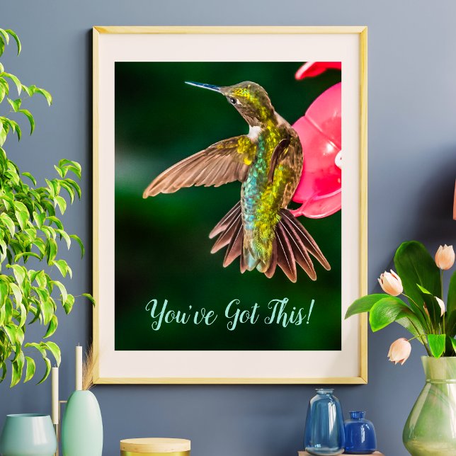 Affiche Ruby Throated Hummingbird Vous avez cette citation (Ruby Throated Hummingbird You've Got This Quote Poster)