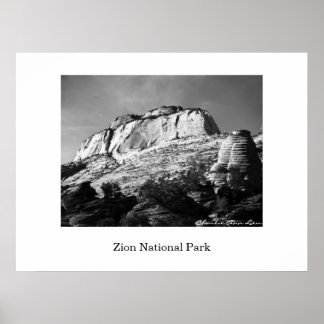 Affiche ruche et monolithe