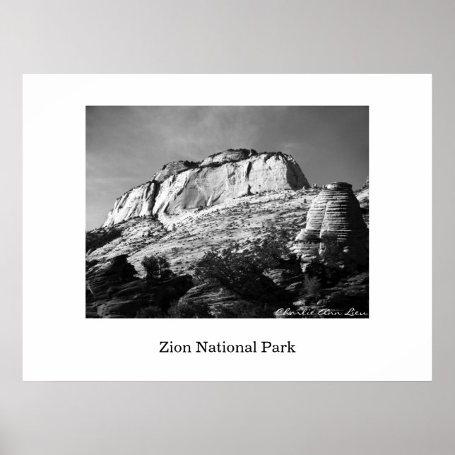 Affiche ruche et monolithe (Devant)