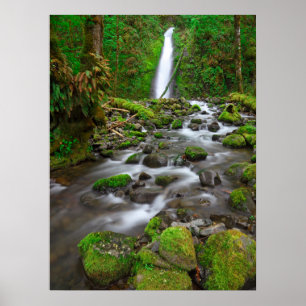 Affiche Ruckel Creek Falls, Gorge du Columbia River Oregon