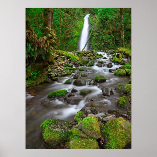 Affiche Ruckel Creek Falls, Gorge du Columbia River Oregon (Devant)