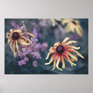 Affiche Rudbeckia Jaune Et Lavande Violette