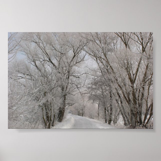Affiche Rue bordée d'arbres d'hiver (Devant)