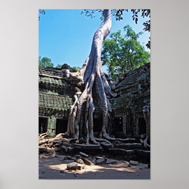 Affiche Ruine de Ta Prohm - Angkor Vat, Cambodge, Asie (Devant)