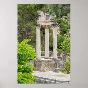 Affiche Ruines du Temple Romain, France