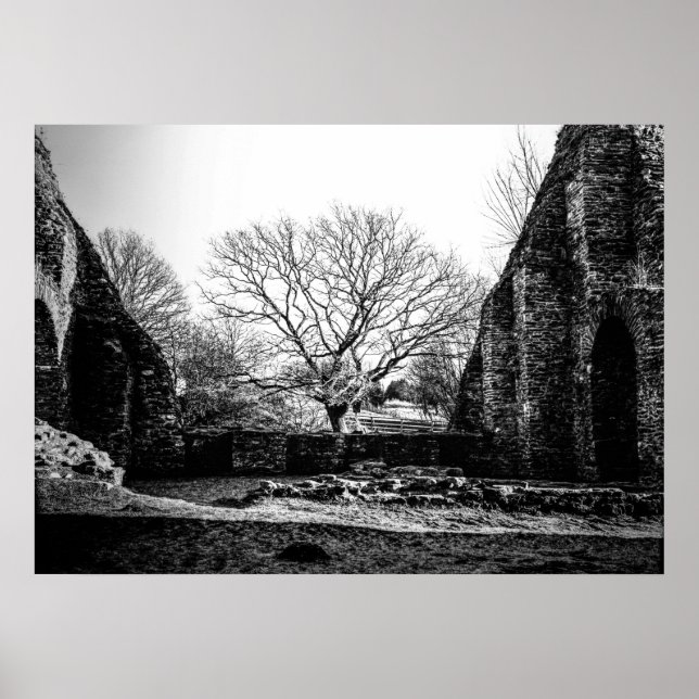 Affiche Ruins (Devant)