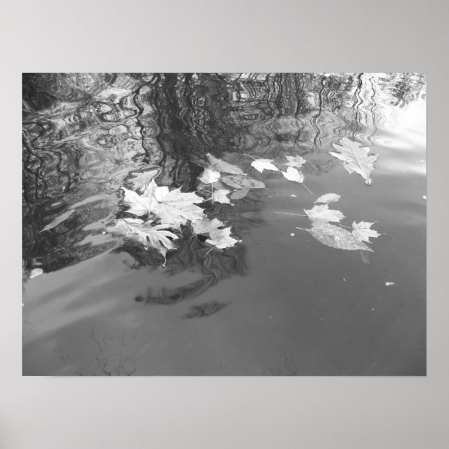 Affiche Ruisseau (Devant)