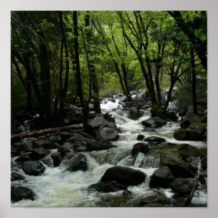 Affiche Ruisseau Bridalveil dans le parc national de Yosem