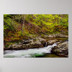 Affiche Ruisseau forestier dans les Great Smoky Mountains