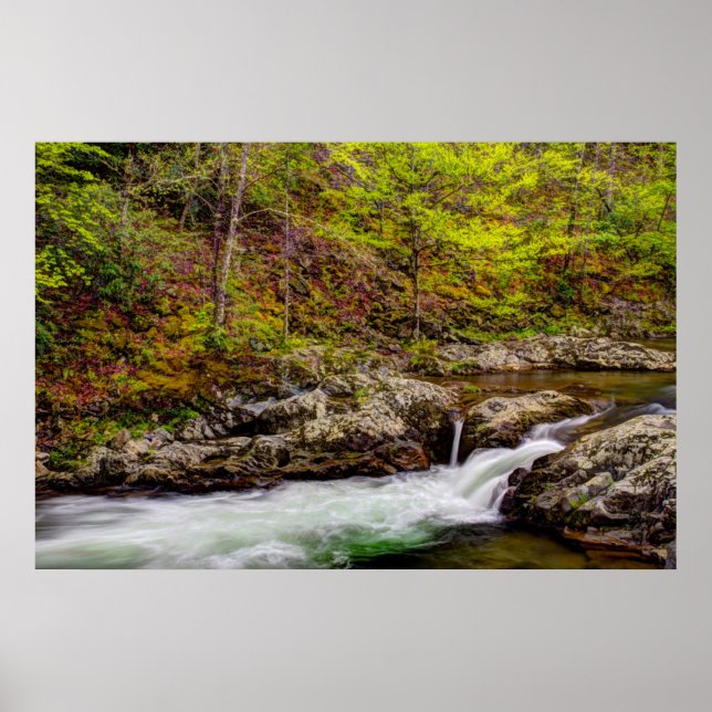 Affiche Ruisseau forestier dans les Great Smoky Mountains (Devant)