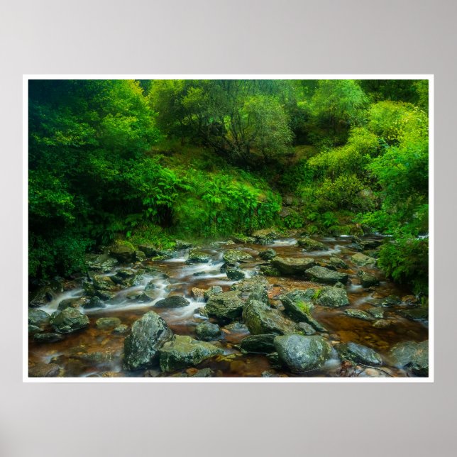 Affiche Ruisseau forestier dans une forêt luxuriante (Rivi (Devant)