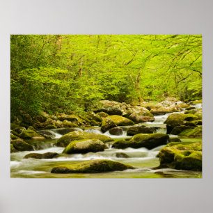 Affiche Ruisseau Rugissant au printemps