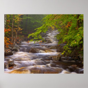 Affiche Ruisseaux le long du sentier des Appalaches