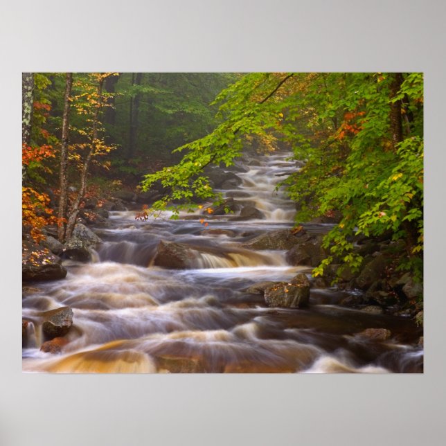 Affiche Ruisseaux le long du sentier des Appalaches (Devant)