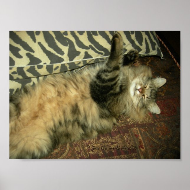 Affiche Rum Tum in repose (Devant)