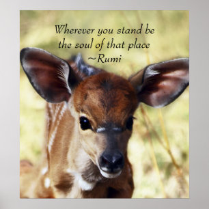 Affiche Rumi partout où vous vous tenez