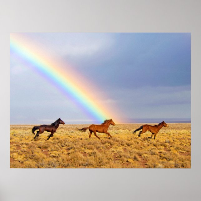 Affiche Running and Rainbow (Devant)