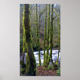Affiche Running de Bridal Veil Falls, Oregon