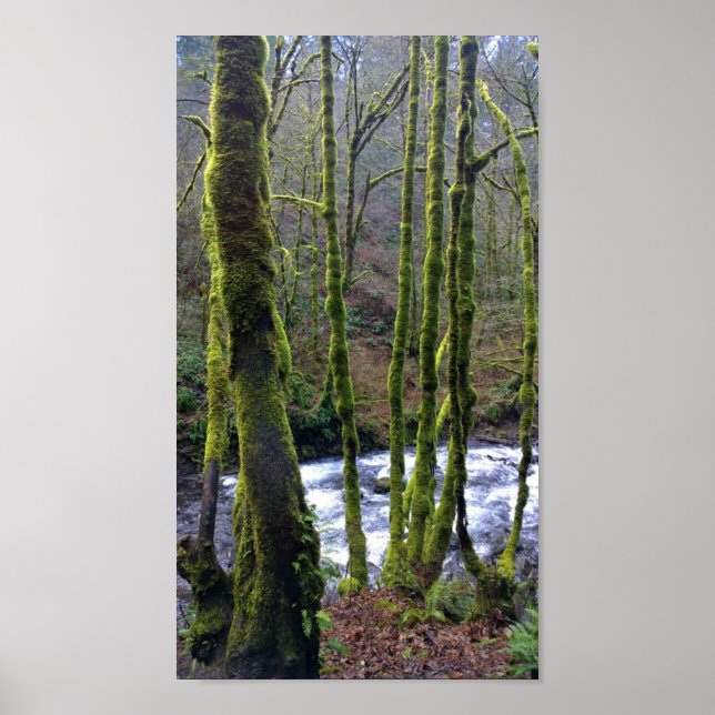 Affiche Running de Bridal Veil Falls, Oregon (Devant)