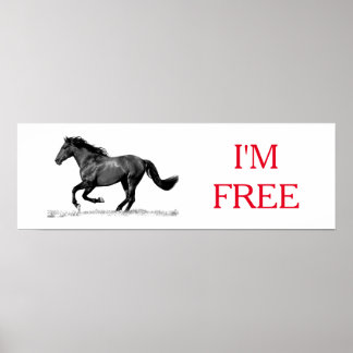 Affiche Running Horse Black White I'm Free Freedom