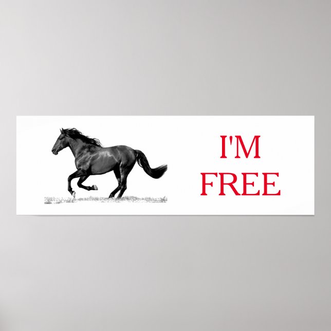Affiche Running Horse Black White I'm Free Freedom (Devant)