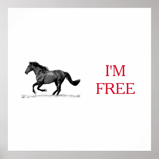 Affiche Running Horse Black White I'm Free Freedom (Devant)